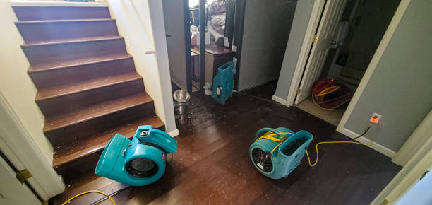 Best Residential water damage restoration  in Echelon, NJ