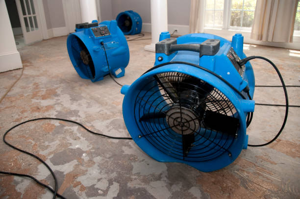 Best Commercial water damage restoration  in Echelon, NJ