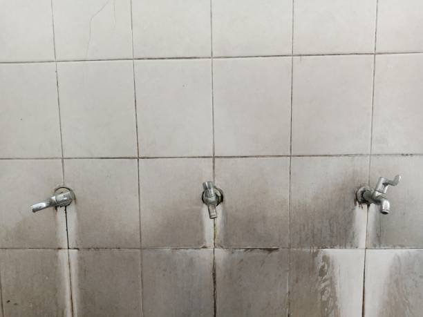 Best Ceiling water damage repair  in Echelon, NJ