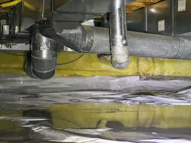 Best Water damage cleanup near me  in Echelon, NJ
