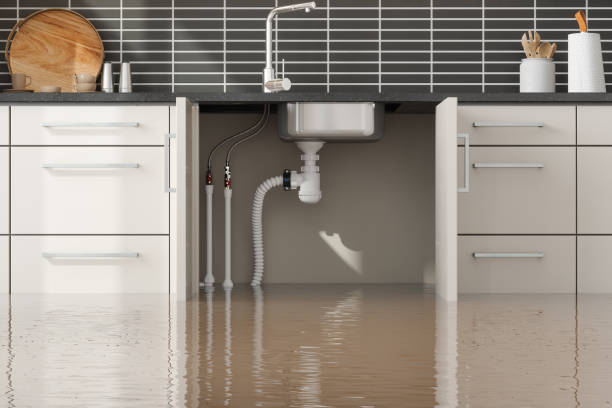 Best Water damage restoration near me  in Echelon, NJ